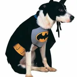 Batman Jakke Til Hunde