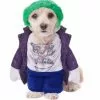 Joker Kostume Til Hunde -kulturer og traditioner Butik joker kostume til hunde