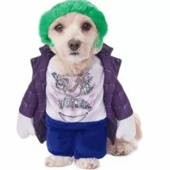 Joker Kostume Til Hunde