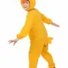 Kylling Kostume Til Børn -kulturer og traditioner Butik kylling kostume til born