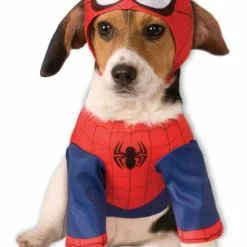 Spidermankostume Til Hunde