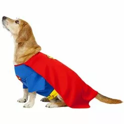 Superman Kostume Til Hunde -kulturer og traditioner Butik superman kostume til hunde 3